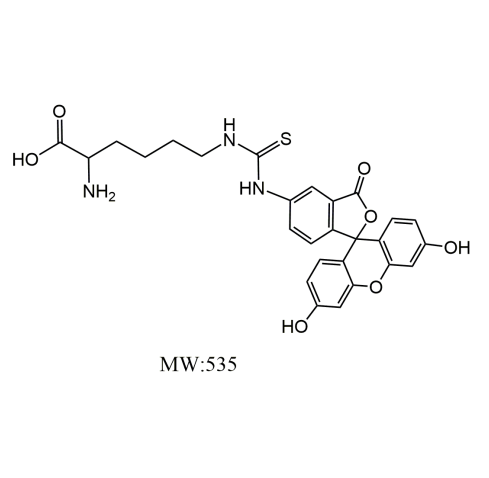 FITC-D-Lys 荧光素-赖氨酸 FITC-D-lysine 的应用