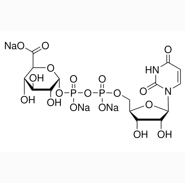 二磷酸尿苷葡糖醛酸  UDP-Glucuronic Acid  UDP-葡糖醛酸的相关特性