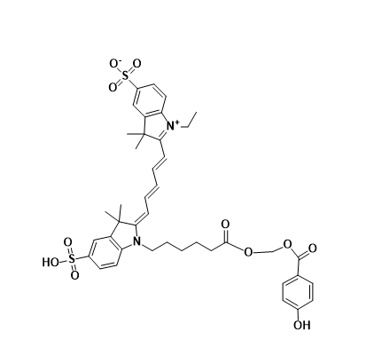 CY5-CAT,五甲川花菁染料-过氧化氢酶