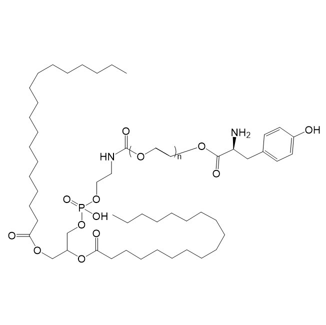 DSPE-PEG-L-Tyr,二硬脂酰磷脂酰乙酰胺-聚乙二醇-L-酪氨酸