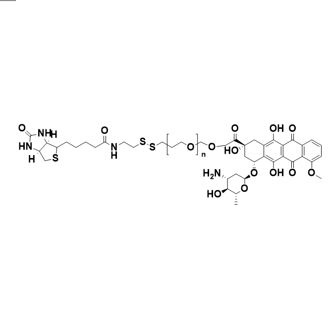Biotin-SS-PEG-Dox,生物素-二硫键-聚乙二醇-阿霉素