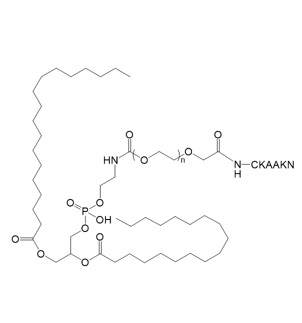 DSPE-PEG-CKAAKN,二硬脂酰基磷脂酰乙醇胺-聚乙二醇-CKAAKN肽