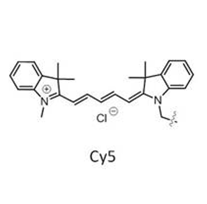 CY5结构式