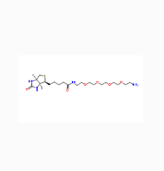 CAS：663171-32-2	生物素-聚乙二醇4-氨基  Biotin-PEG4-NH2的优缺点