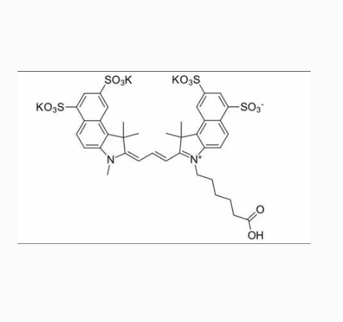 羧基二氧化硅  COOH-SiO2  羧基二氧化硅微球的特性