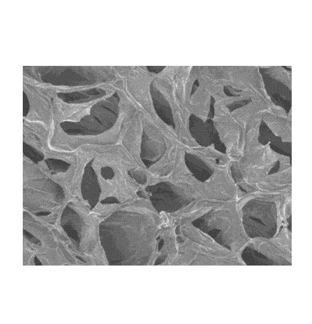 Chitosan hydrogel壳聚糖水凝胶的制备方法