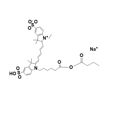 CY5-Sodium butyrate,五甲川花菁染料-丁酸钠