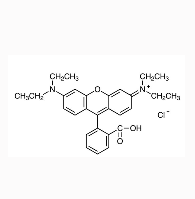 磷脂-聚乙二醇2000-SSFASKKGYPFNRMCAS肽-罗丹明B的特性