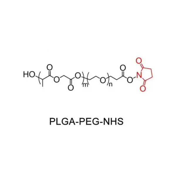 PLGA20K-PEG2K-NHS PLGA：50:50  的特点  