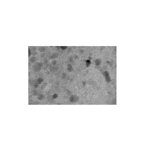 NH2-GQDs 氨基修饰石墨烯量子点制备方法