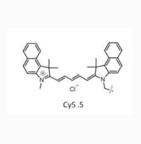 菁染料CY5.5-苯丙氨酸  Cy5.5-Phenylalanine  CY5.5-苯丙氨酸对的应用