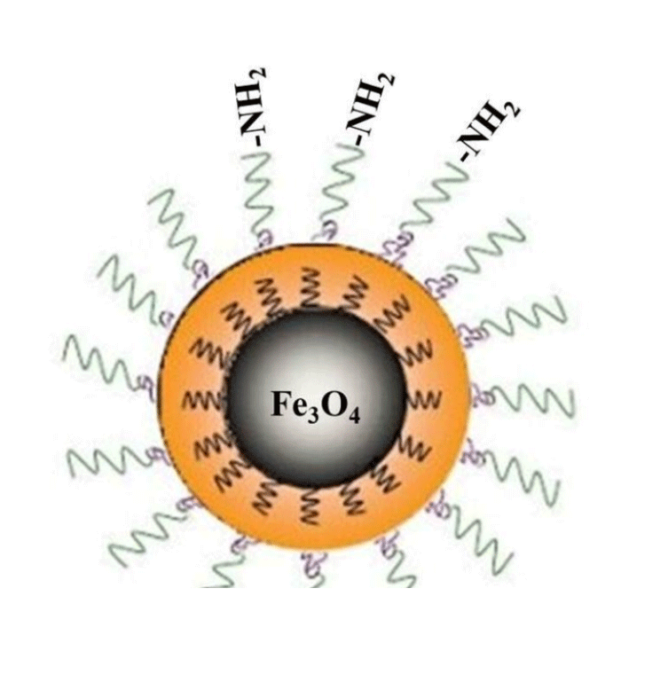 Amino-Fe₃O₄ 氨基四氧化三铁 10nm的制备方法
