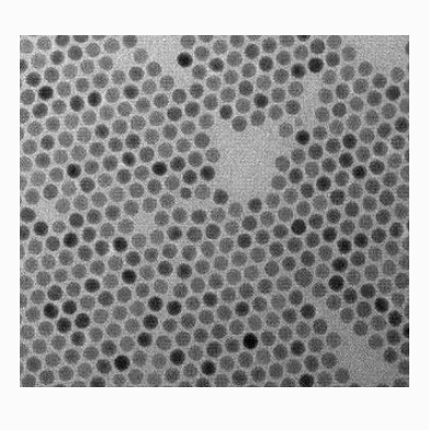 NH2 UCNPs 氨基化上转换纳米粒子（808激发，绿光）的优缺点