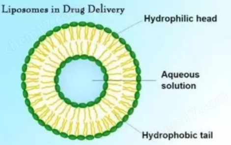 pH Liposome pH响应脂质体 pH-LNP 的特点概述