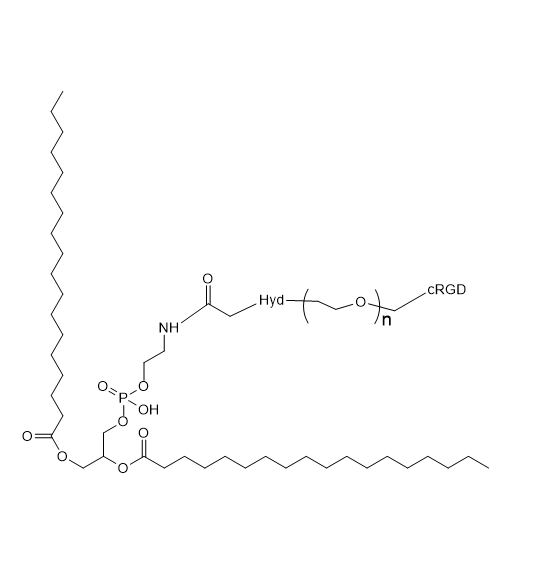 DSPE-Hyd-PEG-cRGD,二硬脂酰基磷脂酰乙醇胺-酰腙键-聚乙二醇-cRGD肽