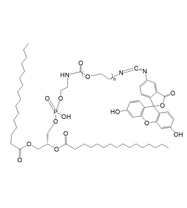 DPPE-PEG-FITC,二棕榈酰基磷脂酰乙醇胺-聚乙二醇-异硫氰酸荧光素