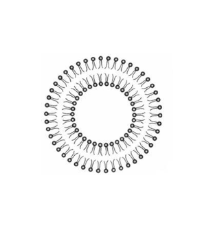 Hydrogel-encapsulated liposomes 水凝胶包裹脂质体的制备方法