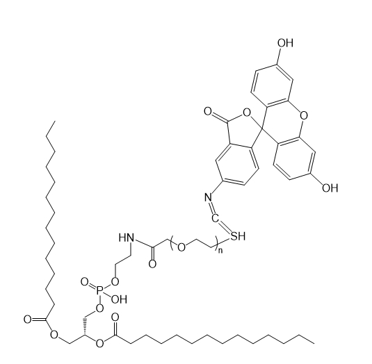 DMPE-PEG-FITC,二肉豆蔻酰基磷脂酰乙醇胺-聚乙二醇-异硫氰酸荧光素