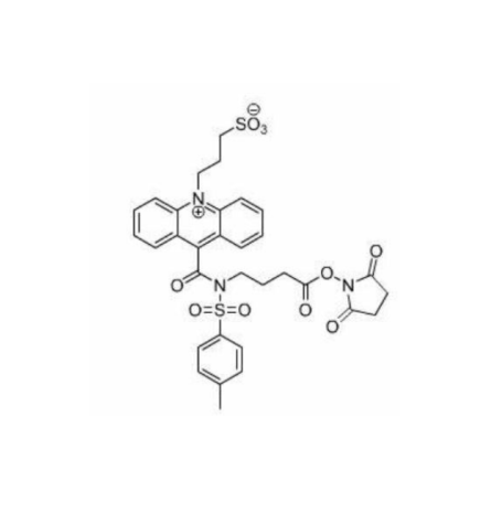 Testosterone-PEG2000-acridinium este Testosterone-聚乙二醇2000-吖啶酯的优缺点