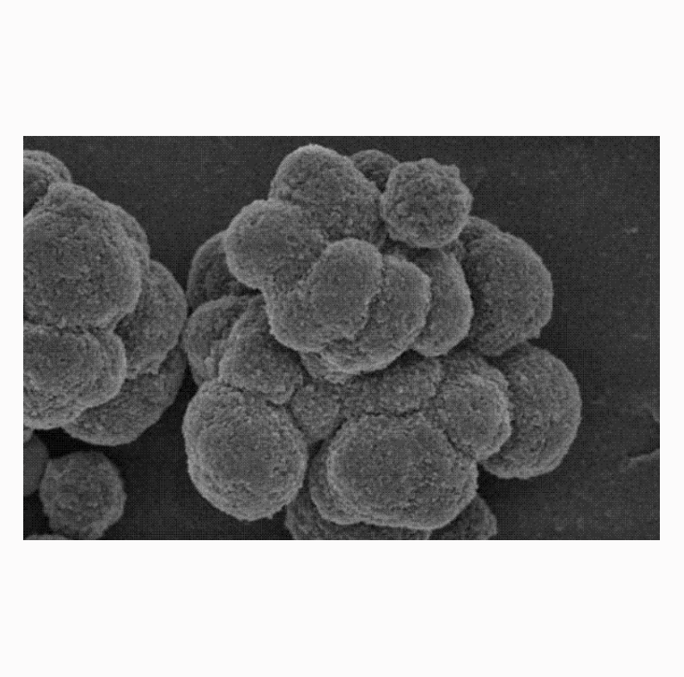 聚乳酸纳米颗粒  PLA Nanoparticles  PLA纳米颗粒的优缺点