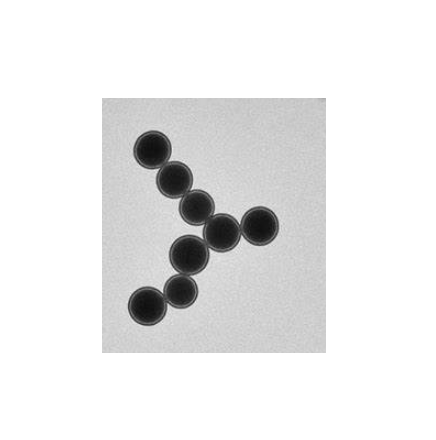 Streptavidin-PS Microspheres 链霉亲和素-聚苯乙烯微球（3um）的制备方法