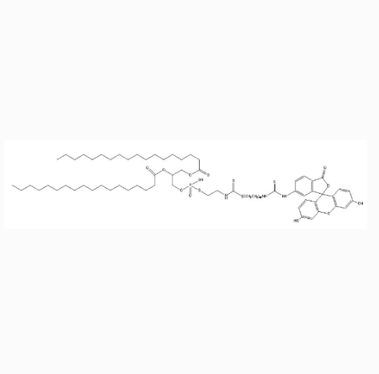 磷脂-聚 (2 - 乙基 - 2 - 噁唑啉)（2k）-马来酰亚胺 DSPE-PEOz（2k）-MAL的特性