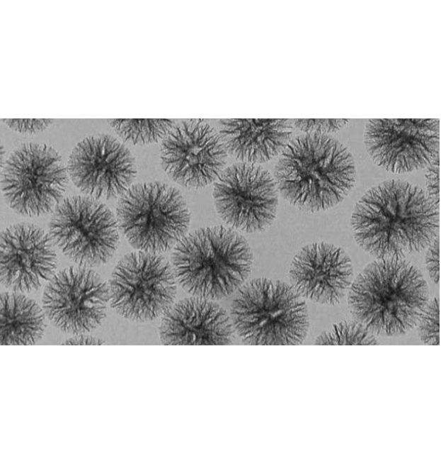 Dendritic porous silica nanoparticles 树枝状多孔二氧化硅纳米颗粒的优缺点
