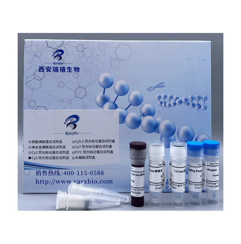 Cy5.5荧光标记抗体/蛋白试剂盒的性质及特点