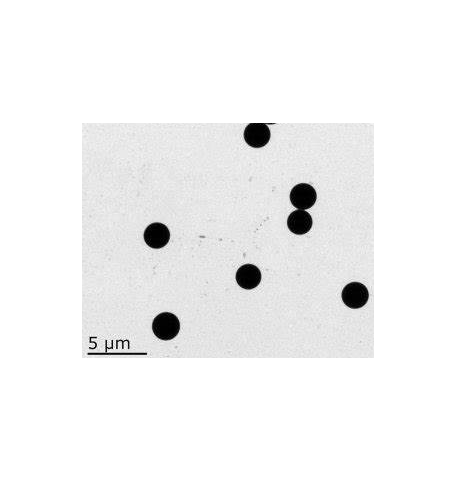 SA-SiO2 microspheres 链霉亲和素修饰二氧化硅微球的性质及特点