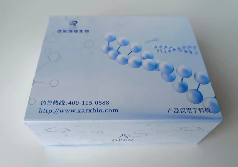 通过试剂盒得到的磷脂偶联抗体/蛋白，如何修饰到脂质体或细胞膜表面？
