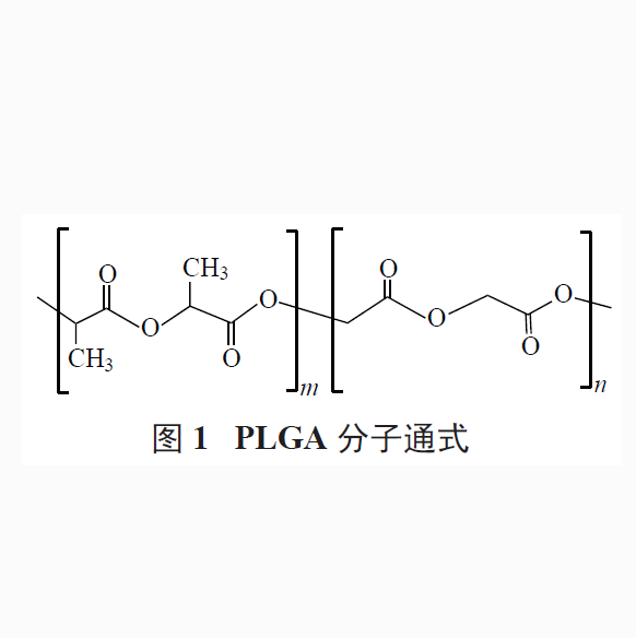 聚乳酸-羟基乙酸共聚物10000（75:25）  PLGA10000 75:25的特性