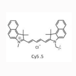 PLGA@CY5.5  聚乳酸-乙醇酸共聚物@菁染料CY5.5的应用