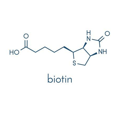 磷脂-双硫键-聚乙二醇2000-生物素DSPE-SS-PEG2K-Biotin的应用领域