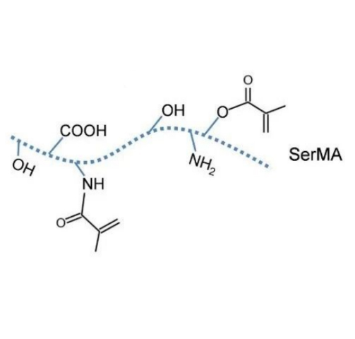 SerMA,甲基丙烯酰化丝胶蛋白水凝胶‌