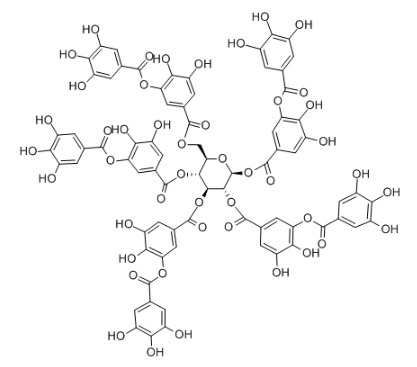  聚乙烯醇-(海藻酸钠)-单宁酸-硼砂复合凝胶试剂盒的应用  