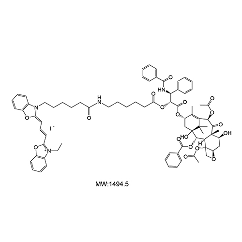 Cy2-PTX,二甲川花菁染料-紫杉醇