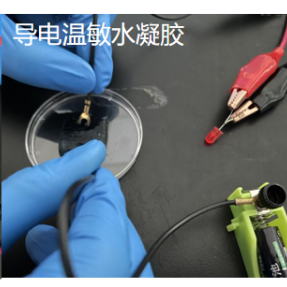 Gel+CA+GLY+PEDOT,明胶+壳聚糖+甘油+聚(3,4-乙烯二氧噻吩凝胶