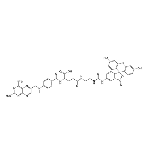 FITC-MTX,异硫氰酸荧光素-甲氨蝶呤