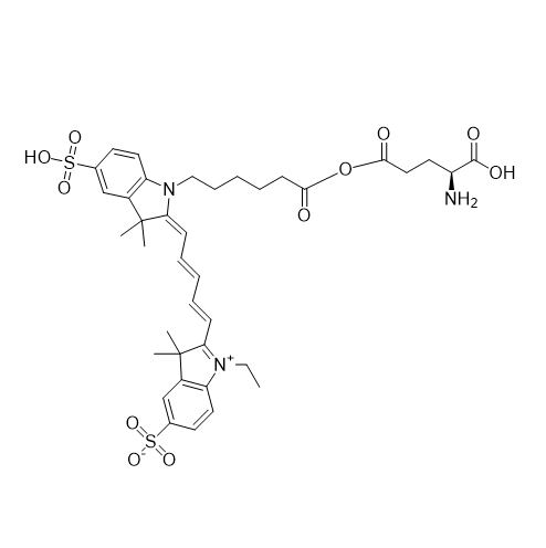 CY5-glutamine,五甲川花菁染料-谷氨酰胺