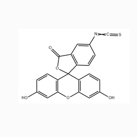  N3-Lys(FITC)-Arg8-amide 叠氮-赖氨酸(FITC标记)-精氨酸8-酰胺的特点  