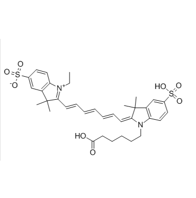 CY7-labeled Bovine Hemoglobin  CY7-牛血红蛋白的制备方法