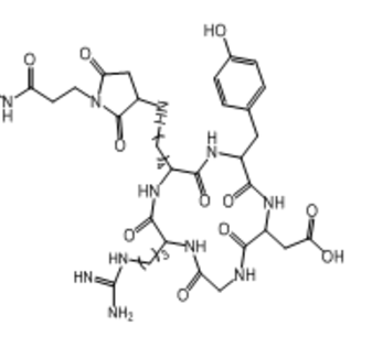 HS-CRGD 巯基-CRGD肽的功能特性  