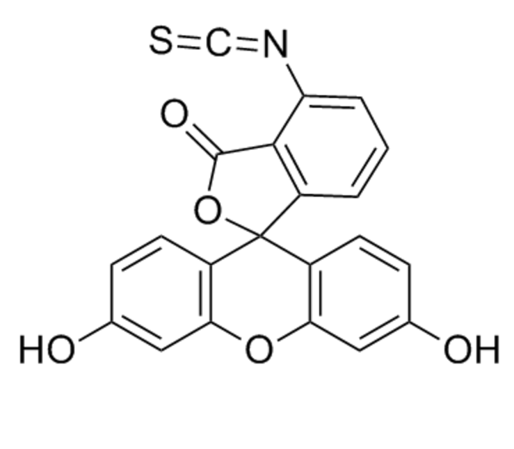 5-FITC-CTPSPFSHCD 5-异硫氰酸荧光素-CTPSPFSHCD肽的优点  