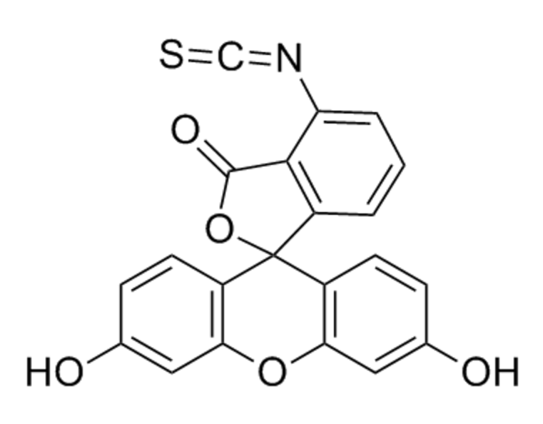 DSPE-PEG2K-TRDLVYKDPARPKIQK（FITC修饰）的性能  
