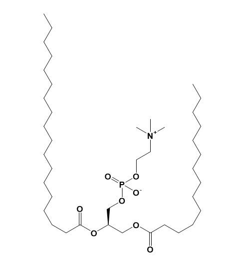 MSPC,1-肉豆蔻酰基-2-硬脂酰基卵磷脂