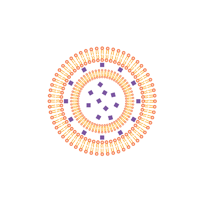 ROS-responsive liposome-Ce6 ROS响应性脂质体载光敏剂 的制备方法