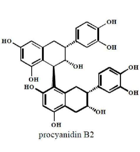 ROS 响应水凝胶包Procyanidin B2的性质及特点