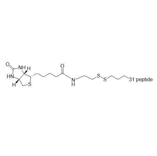 Biotin-SS-31,生物素-SS-31肽