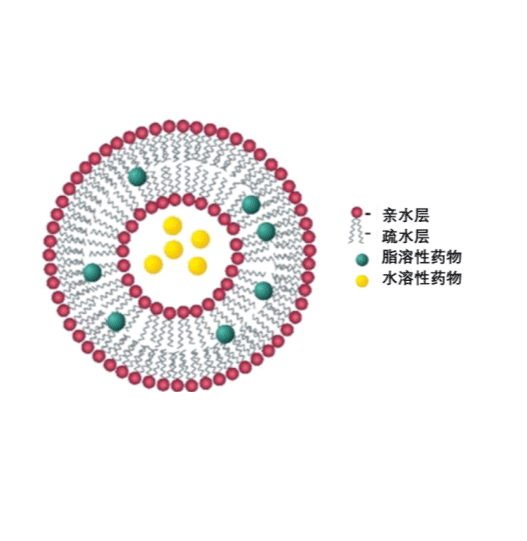 Cationic liposome-loaded lncRNA 阳离子脂质体载lncRNA的制备方法