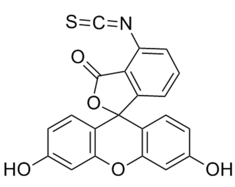 N3-PEG-PLL-FITC 叠氮-聚乙二醇-聚赖氨酸-异硫氰酸荧光素的特点  